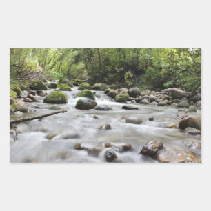 Forest Stream-stickers Rechthoekige Sticker
