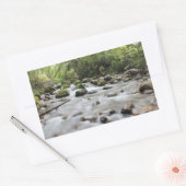 Forest Stream-stickers Rechthoekige Sticker (Envelop)