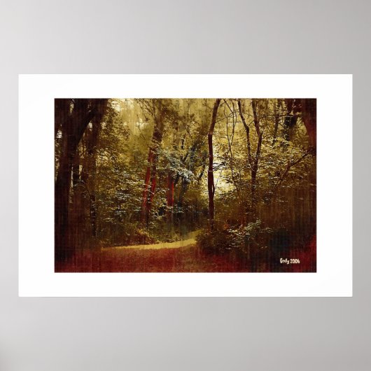 Forest Stroll Poster (Voorkant)