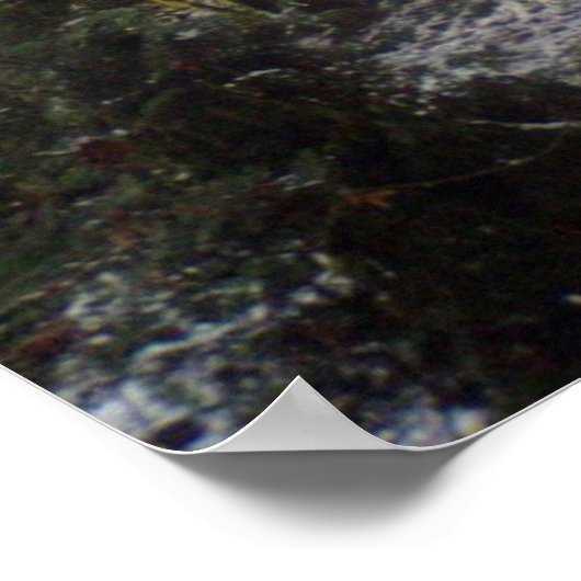 Forest Sun Rays in de sneeuw #32 Poster (Hoek)