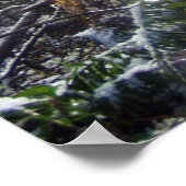 Forest Sun Rays in de sneeuw #68 Poster (Hoek)