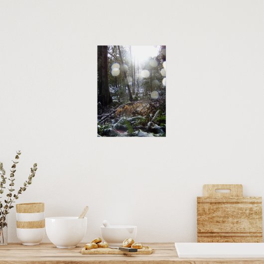 Forest Sun Rays in de sneeuw #68 Poster (Keuken)