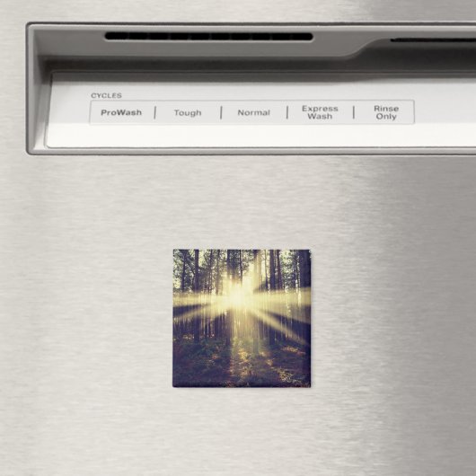 Forest Sunbeams Magneet (Insitu (Vaatwasser))