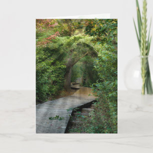 Forest Sunbeams voor sympathiekaart Kaart