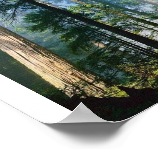 Forest Sunlight Poster (Hoek)