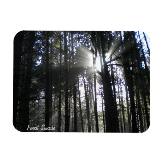 Forest Sunrise Magneet (Horizontaal)