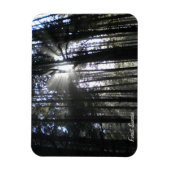 Forest Sunrise Magneet (Verticaal)