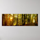 Forest Sunrise Poster (Voorkant)