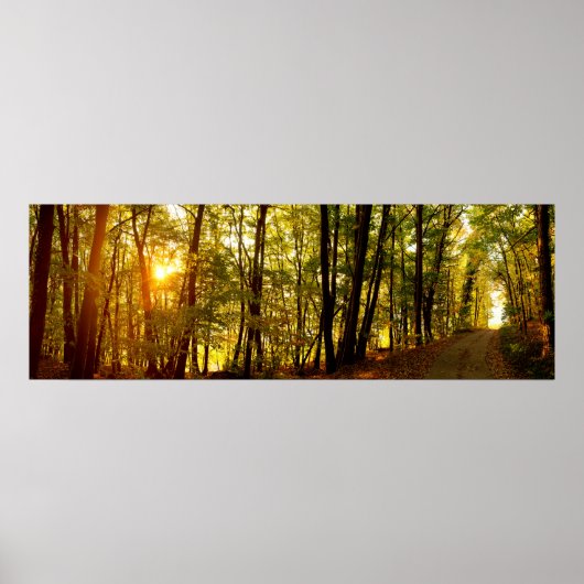 Forest Sunrise Poster (Voorkant)