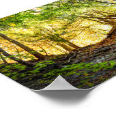 Forest Sunset Natuur Poster (Hoek)