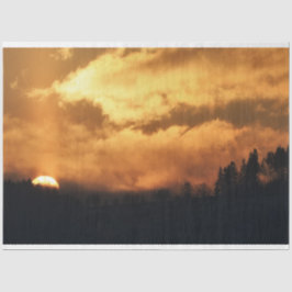 Forest Sunset-ontkoppelingspagina Tissuepapier