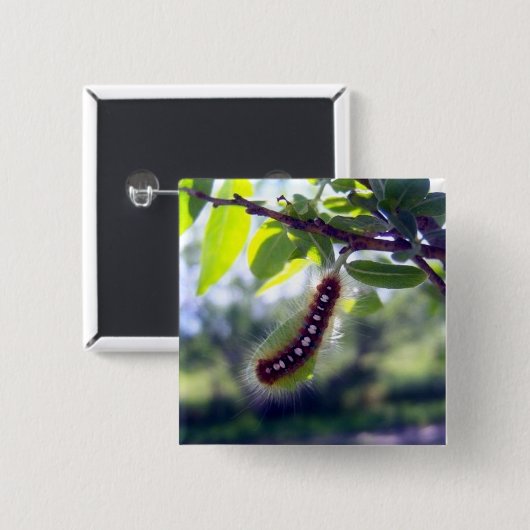 Forest Tent Caterpaal 1 Button (Voorkant /achterkant)