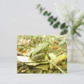 Forest Toad Briefkaart (Staand voorkant)