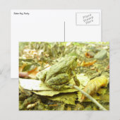 Forest Toad Briefkaart (Voorkant / Achterkant)