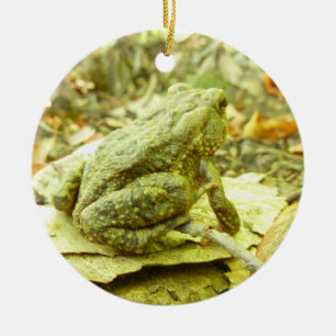 Forest Toad Keramisch Ornament