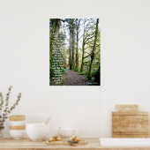 Forest Trail Isaiah 41:10 Print (Keuken)
