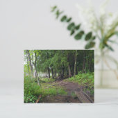 Forest Trail Through Jay Cooke Park Briefkaart (Staand voorkant)