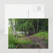 Forest Trail Through Jay Cooke Park Briefkaart (Voorkant / Achterkant)