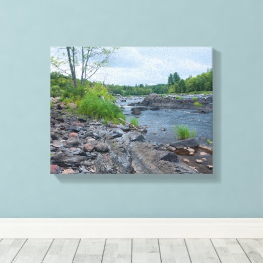 Forest Trail Through Jay Cooke Park Canvas Afdruk (Insitu (Houten vloer))