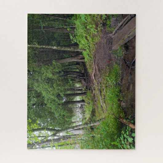Forest Trail Through Jay Cooke Park Legpuzzel (Verticaal)