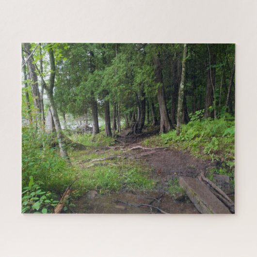 Forest Trail Through Jay Cooke Park Legpuzzel (Horizontaal)