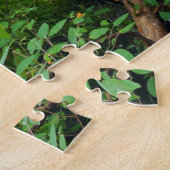 Forest Trail Through Jay Cooke Park Legpuzzel (Zijkant)