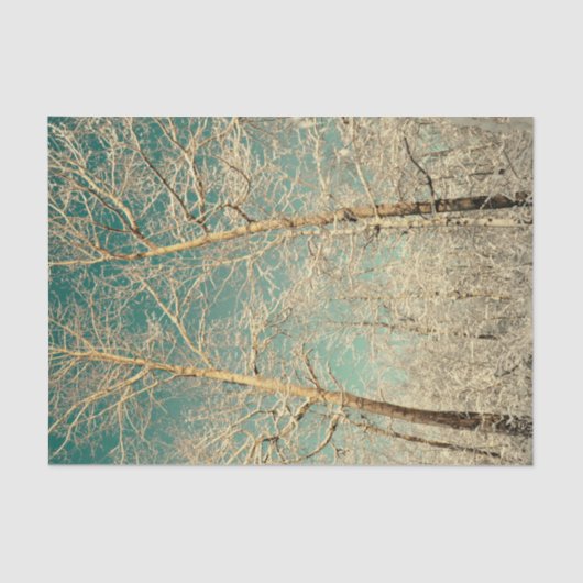 Forest Trees Blauwgroen Sky Winter Woodland Tissuepapier (Voorkant)