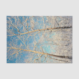 Forest Trees Blue Sky Winter Woodland Tissuepapier