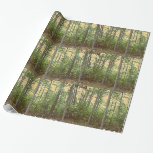 Forest Trees-inpakpapier Cadeaupapier (Uitgerold)