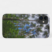 Forest Trees Sky Belarus Natuur iPhone 11 Hoesje (Achterkant (horizontaal))