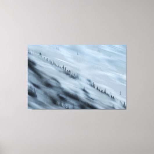 Forest Valley Canvas Afdruk (Voorkant)