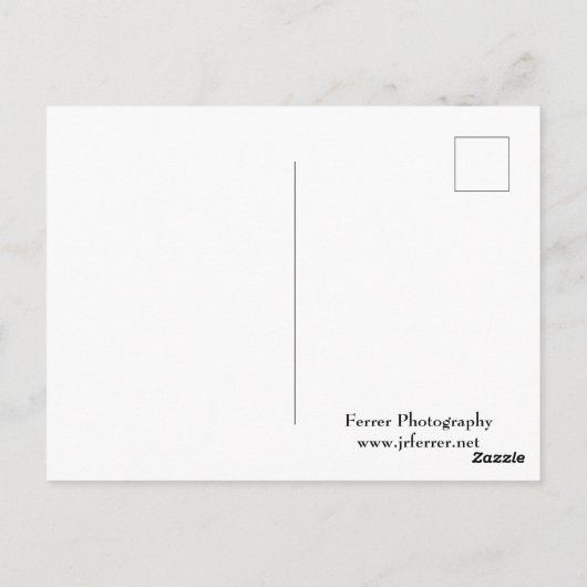 Forest Valley Overlook at Castle Mound Briefkaart (Achterkant)