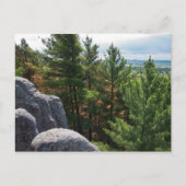 Forest Valley Overlook at Castle Mound Briefkaart (Voorkant)