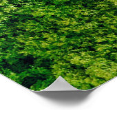 Forest view from above, aerial top view with copy poster (Hoek)