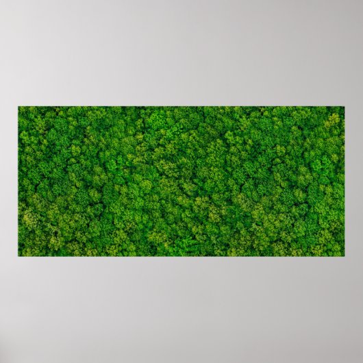 Forest view from above, aerial top view with copy poster (Voorkant)