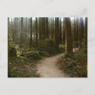 Forest Walk Briefkaart