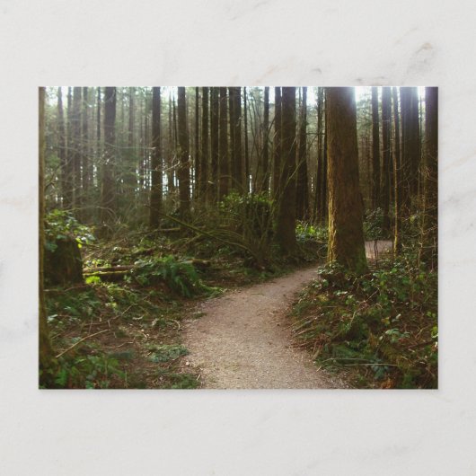 Forest Walk Briefkaart (Voorkant)