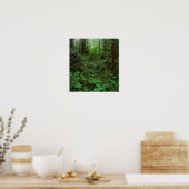 Forest Walk GT 1 Poster (Keuken)