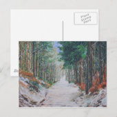 Forest walk, Yorkshire, Engeland. Briefkaart (Voorkant / Achterkant)