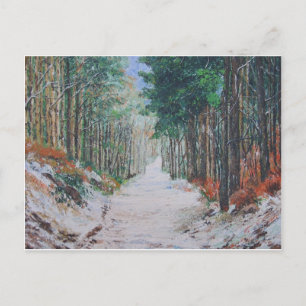 Forest walk, Yorkshire, Engeland. Briefkaart