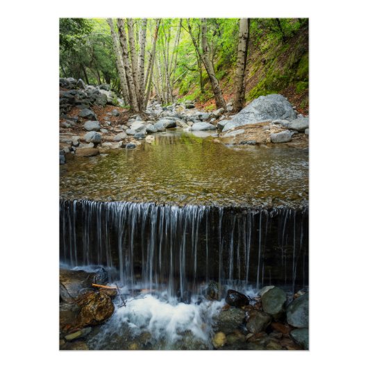 Forest Waterfall Cascade – Mountain Stream Print Perfect Poster (Voorkant)