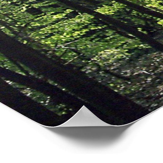 Forest Way Poster (Hoek)