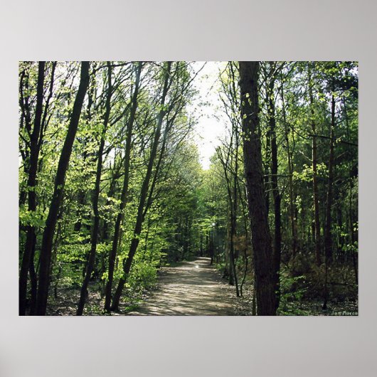 Forest Way Poster (Voorkant)