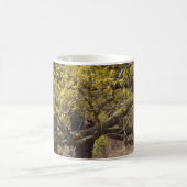 Forest White Coffee Mok (Center)