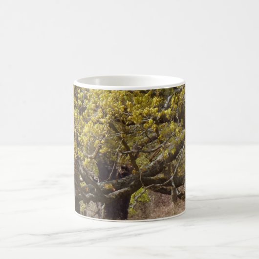 Forest White Coffee Mok (Center)