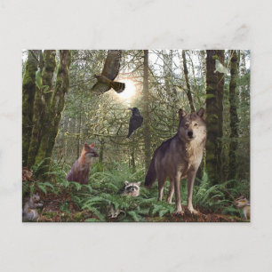 Forest Wilde Dieren Wildlife Natuur Briefkaart