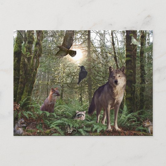 Forest Wilde Dieren Wildlife Natuur Briefkaart (Voorkant)