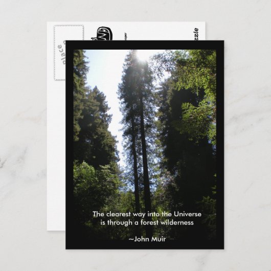Forest Wilderness Redwoods Briefkaart (Voorkant / Achterkant)