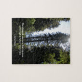 Forest Wilderness Redwoods Legpuzzel (Horizontaal)