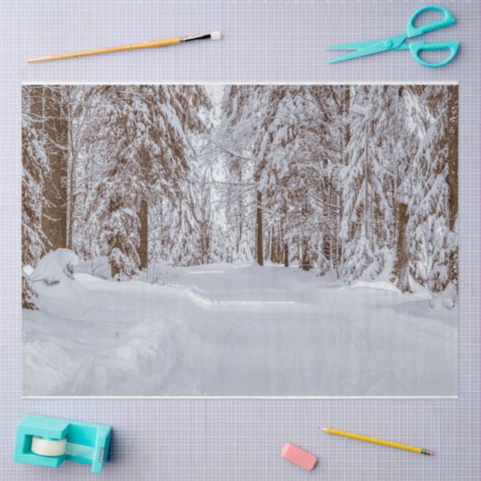 Forest Winter 11 Ontvangstdocument Tissuepapier (Craft)